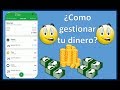 Money lover  como gestionar tu dinero