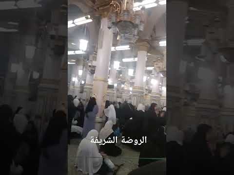 جينا على روضة هلا من الجنة الروضة الشريفة المدينة المنورة