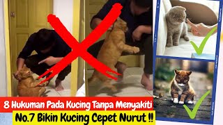 8 CARA MENGHUKUM KUCING YANG BANDEL TANPA MENYAKITINYA !!  Cara Membuat Kucing Nurut Dan Jinak