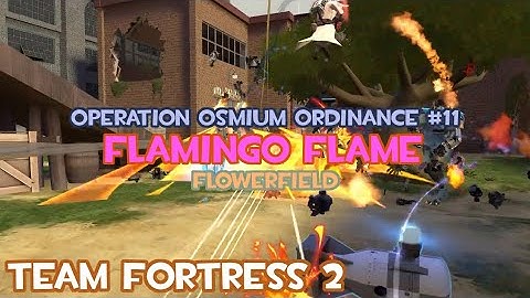 TF2 MvM Operation Osmium Ordinance #11 Flowerfield - Flamingo Flame (Heavy Gameplay)