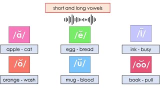 Long and short vowels حروف العلة الطويلة والقصيرة - شرح وافي مع طريقة النطق والأمثلة على كل صوت