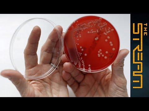 Is your doctor killing you? Antibiotics and the rise of the superbug - The Stream