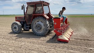 Şeker Pancari Gübrelemeli̇ Ara Çapasi