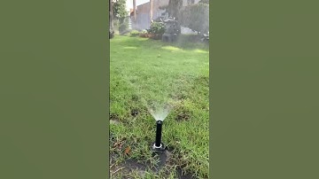 Thi công hệ thống tưới tự động sân vườn  cùng Zions