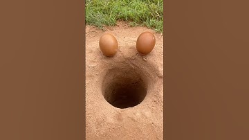 Survival Skills: SMART idea with CRAB in hole #survival #camping #outdoor #useful