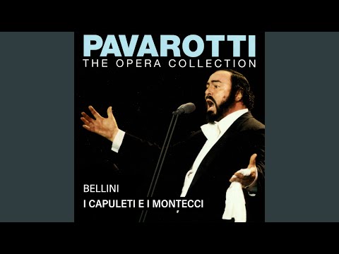 Смотреть «Bellini: I Capuleti e i Montecchi, Act II: Tu sola, o mia Giulietta... Deh! tu, bell'anima...» на YouTube Смотреть «Bellini: I Capuleti e i Montecchi, Act II: Tu sola, o mia Giulietta... Deh! tu, bell'anima...» на YouTube