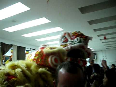 * Vietnamese New Year Dragon Dance @ Chua Phat An ...