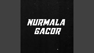 Download Lagu Nurmala Gacor MP3