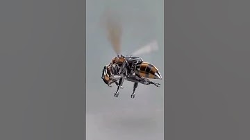 Robotic Bee Unveiled: The Future of Tech Insect Drones!🐝🤖#Viral #ViralVideo #Shorts #AI #Tech #Drone