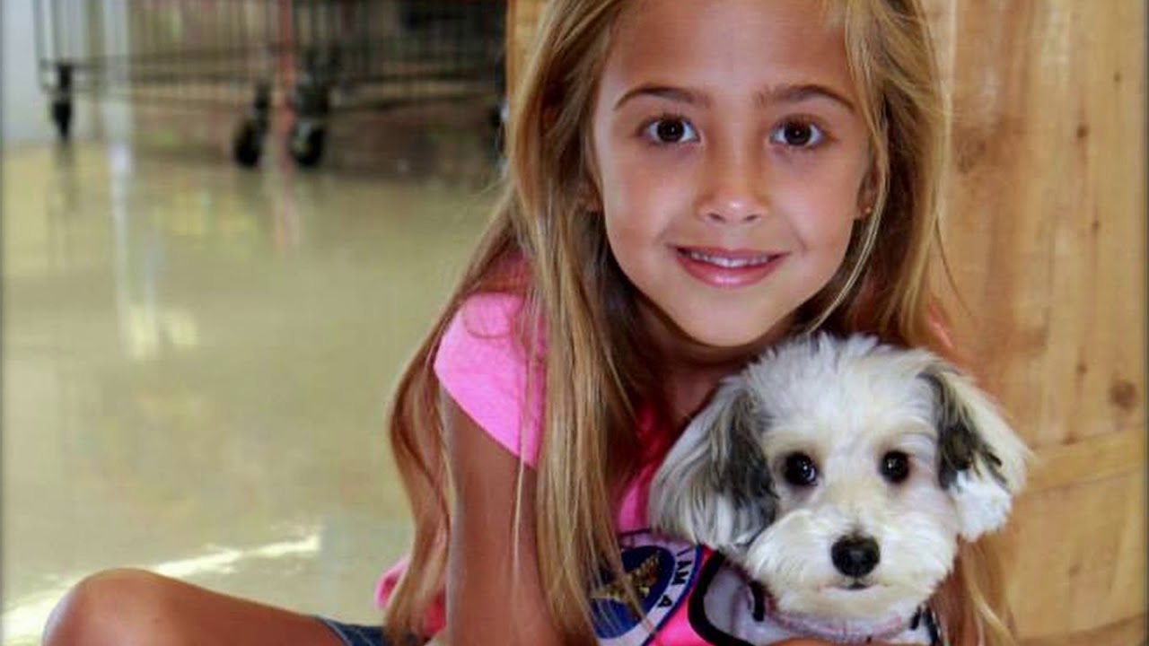 5 SDA Wheelchair Mobility Only YouTube