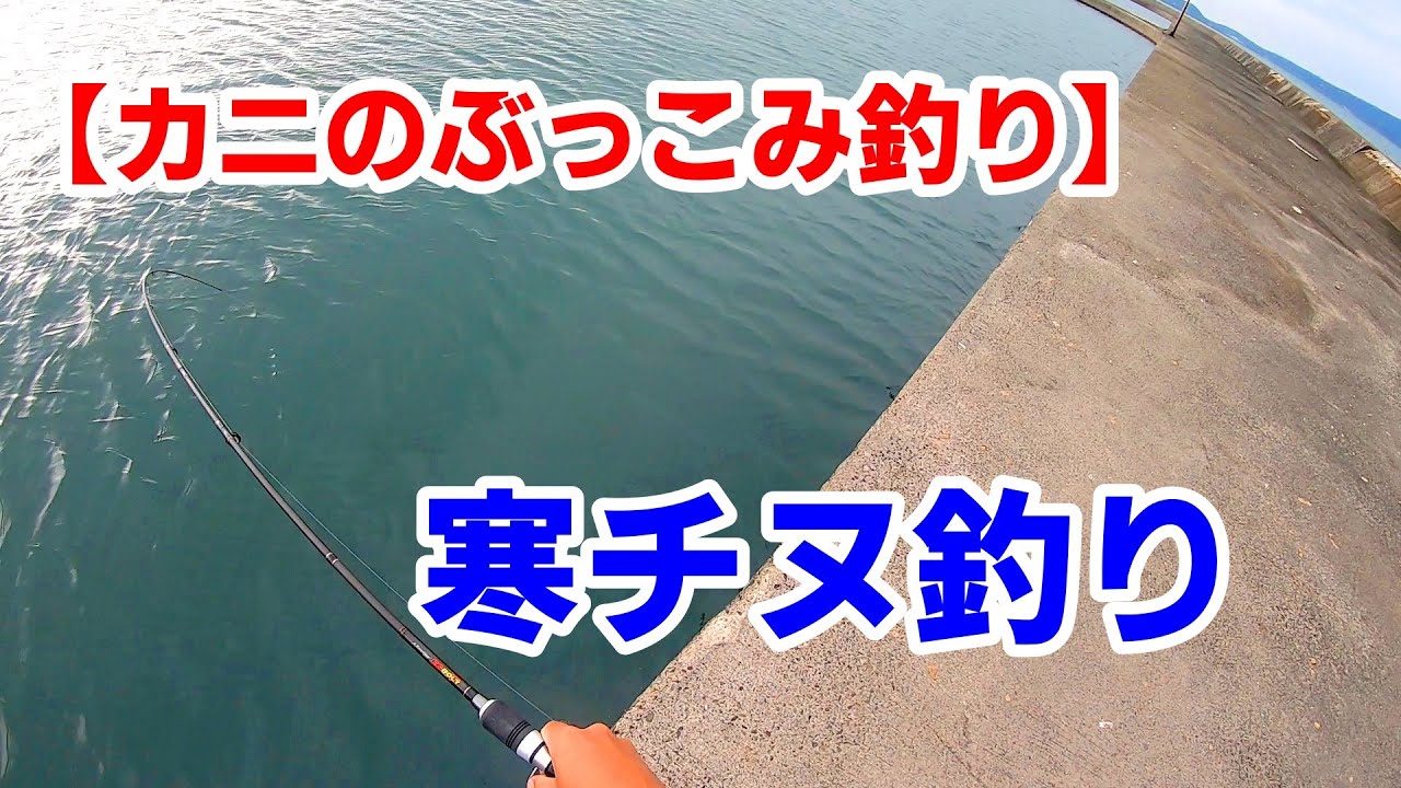 カニのぶっこみ釣り 一投目からドラグが鳴り響く 12月 寒チヌ てんやわんやでトラブル発生 高級魚 も飛び出す Youtube