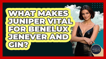 What Makes Juniper Vital For Benelux Jenever And Gin? - Exploring The Benelux