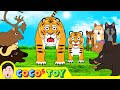 Baby tiger Kevin repaid the favorㅣanimals cartoon for childrenㅣCoCosToy