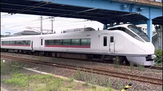 12M E657系K2編成 特急 ひたち12号 品川行 常磐線 南中郷～高萩間 通過 0805-18