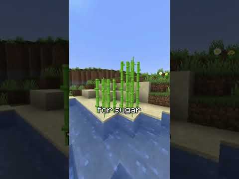 Video: Hur man hittar diamanter i Minecraft (med bilder)