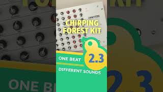 DRM1 MKIV: chirping forest kit #synthesizer #drummachines #electronicmusic