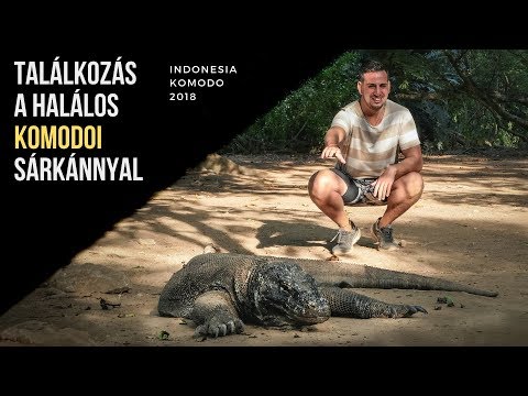 Videó: A Komodo sárkányok képesek enni az embereket?