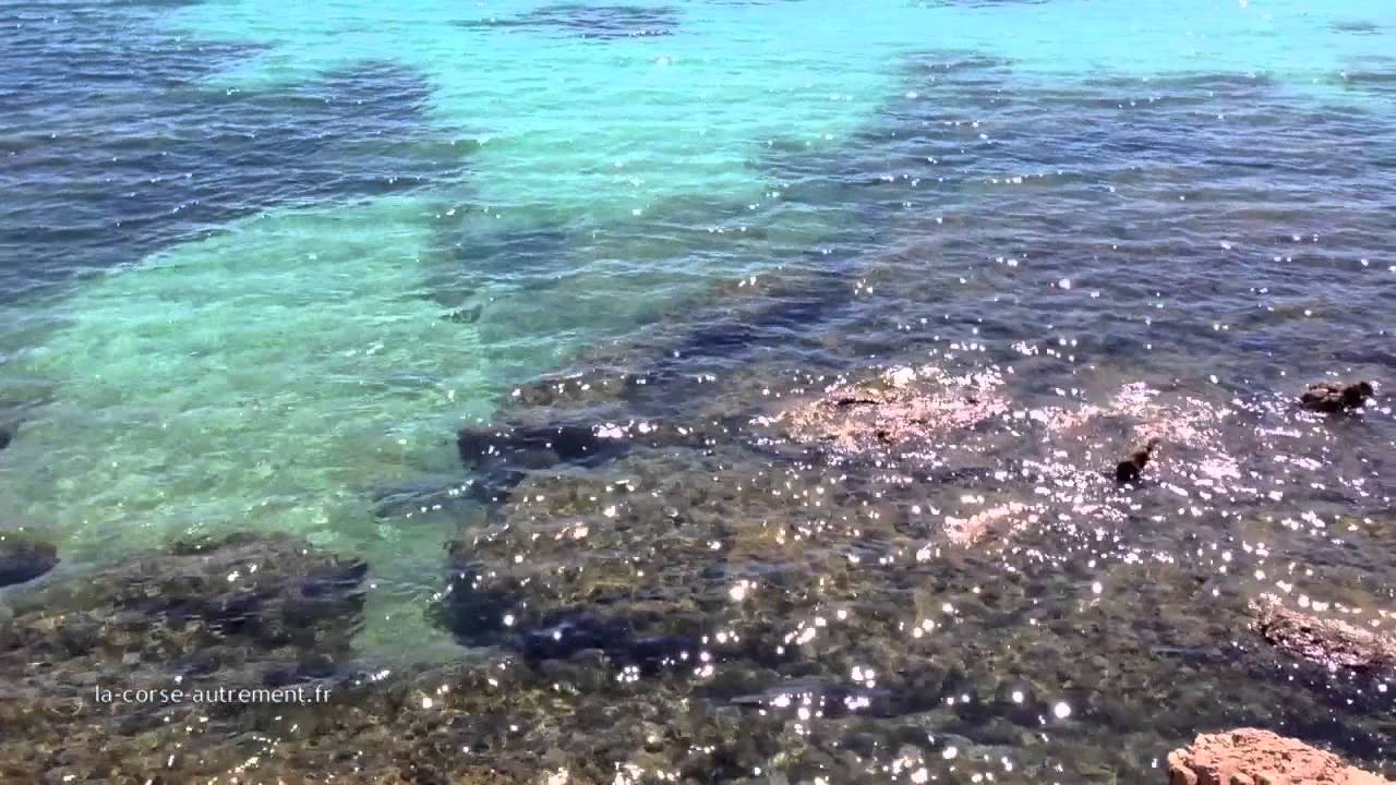 Rondinara Plage De Corse
