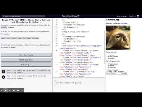 Learn Basic HTML and HTML5: Check Radio Buttons and Checkboxes by Default | freeCodeCamp.org 25