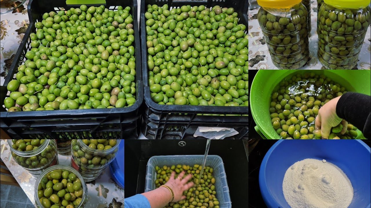 زيتون مكلس بطعم خرافي 👌🥰 Pickled olives with a fantastic taste بطريقة سهلة وبسيطة روووعة 👍🥰❤️