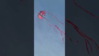 #Dragon #flight #pleasesubscribe #kite #flying #adventure #majestic #buy #from @amazon #love