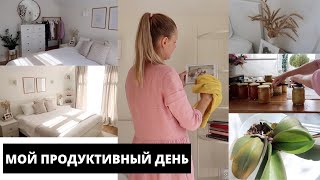 видео: 🫙КОНСЕРВАЦИЯ|кабачковая икра, рагу и пюре из яблок▪️УБОРКА В СПАЛЬНЕ▪️РАЗБУДИЛА ОРХИДЕЮ картинка: 🫙КОНСЕРВАЦИЯ|кабачковая икра, рагу и пюре из яблок▪️УБОРКА В СПАЛЬНЕ▪️РАЗБУДИЛА ОРХИДЕЮ