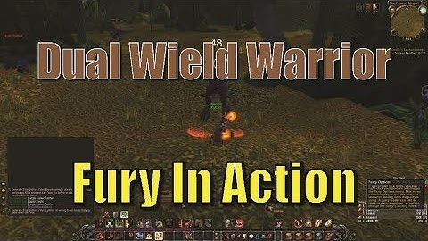 Dual Wield Warrior | 40 Fury Respec in Action