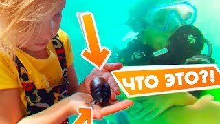 Ya - Alisa с ТАРАКАНАМИ, у VIKI SHOW 30 лимонов, KiKiDo водолаз?! Yanchik Malchik NEWS