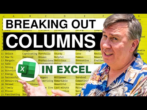Excel - Excel Tutorial: Splitting Data into Columns for Analysis | MrExcel Netcast - Episode 1024