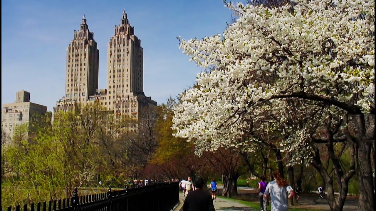Central Park during Spring Day, New York City - YouTube