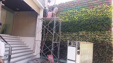 Hướng dẫn làm tường cây xanh (vườn đứng )