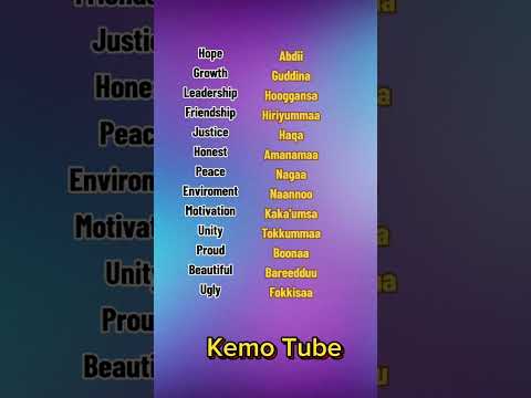 Shorts Learn Afan Oromo Learn Afan Oromo In Amharic Oromo Kemo Tube Short Shortvideo