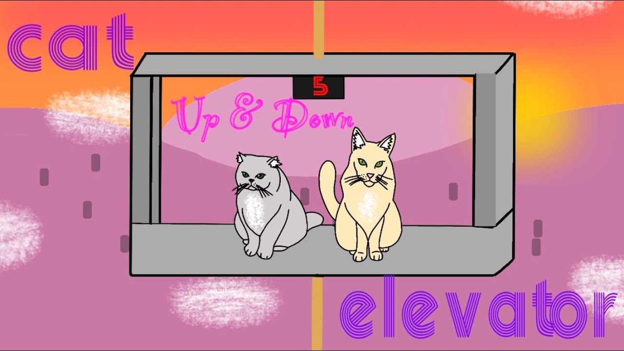 Cat Elevator [Up & Down] YouTube