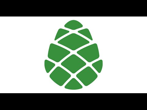 FactCheck TV ― გირჩი: ბოლო სამ წელიწადში საქართველოში ეკონომიკური მდგომარეობა გაუარესდა