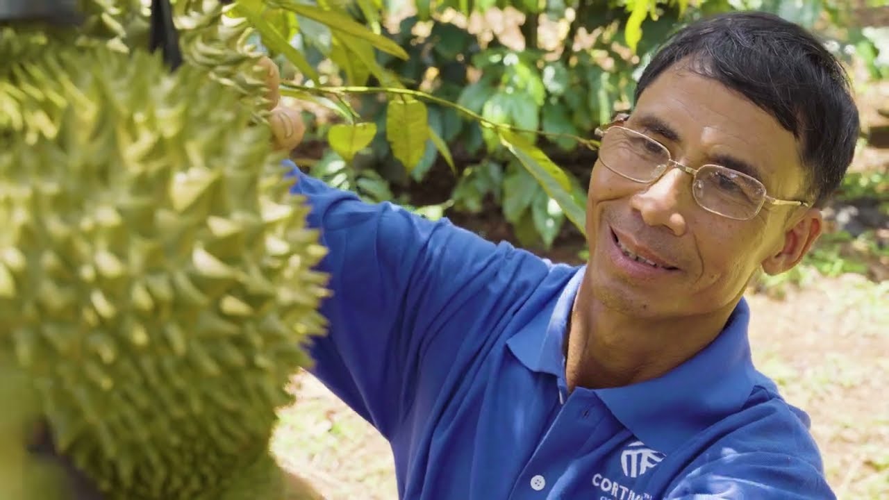 Thuốc trừ bệnh ZORVEC® Encantia® 330SE - CÔNG NGHỆ TIÊN PHONG