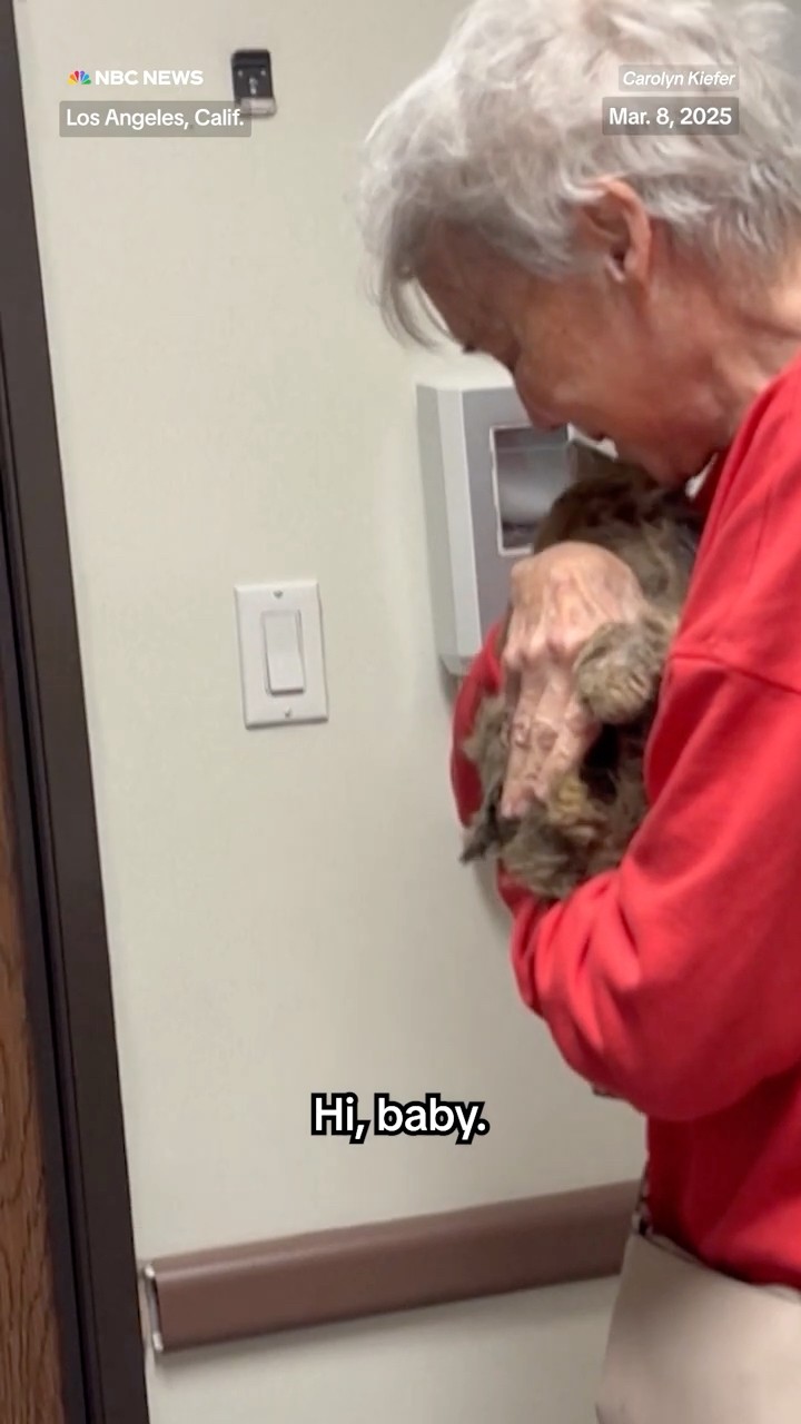 Woman reunites with her cat two months after Palisades Fire