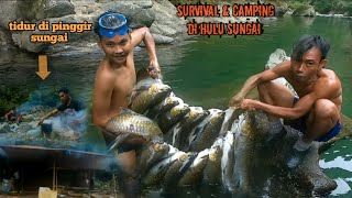 Camping , SPEARFISHING : tidur di pinggir sungai , ikan disini babon babon : part2