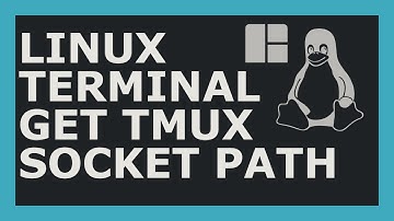 How To Get Tmux Socket Path Using Linux Command Line (Bash)