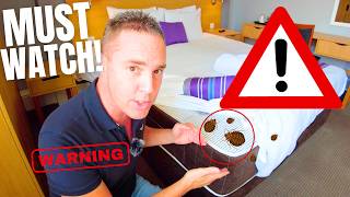 Should YOU Check For BED BUGS!