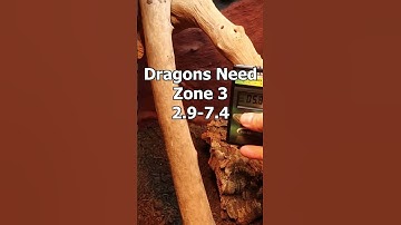 Why are Coil UVB Bulbs Bad?