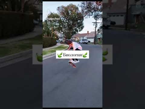 ⛓️Что нужно сдавать на фотографа⛓️