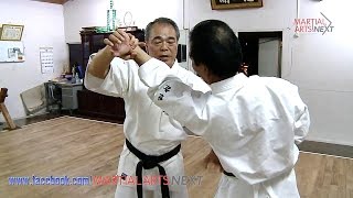 Secrets Of Karate. Bunkai