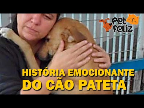 Vídeo: O fim do seu animal de estimação: Maximizando a alegria e minimizando o luto