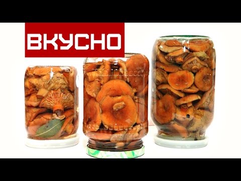 МАРИНОВАННЫЕ РЫЖИКИ НА ЗИМУ ЧАСТЬ 1 /  MARINATED Ryzhikov in the winter PART 1