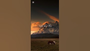 سورة النور . الله نور السماوات والارض مثل نوره......... القرآن الكريم راحة نفسية للسمعين
