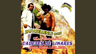 Video thumbnail of "Los Cadetes De Linares - El Tejanito"