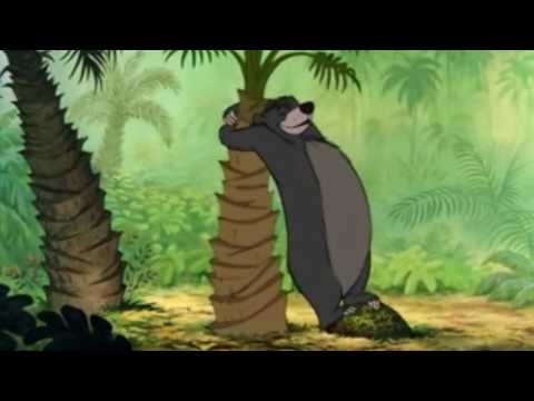 Little Richard Ready Teddy