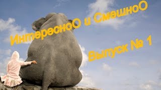ИнтерененькоО и Смешно ! Выпуск №1 Супер нарезка демотиваторов на все вкусы ) ИнтерененькоО и Смешно ! Выпуск №1 Супер нарезка демотиваторов на все вкусы )