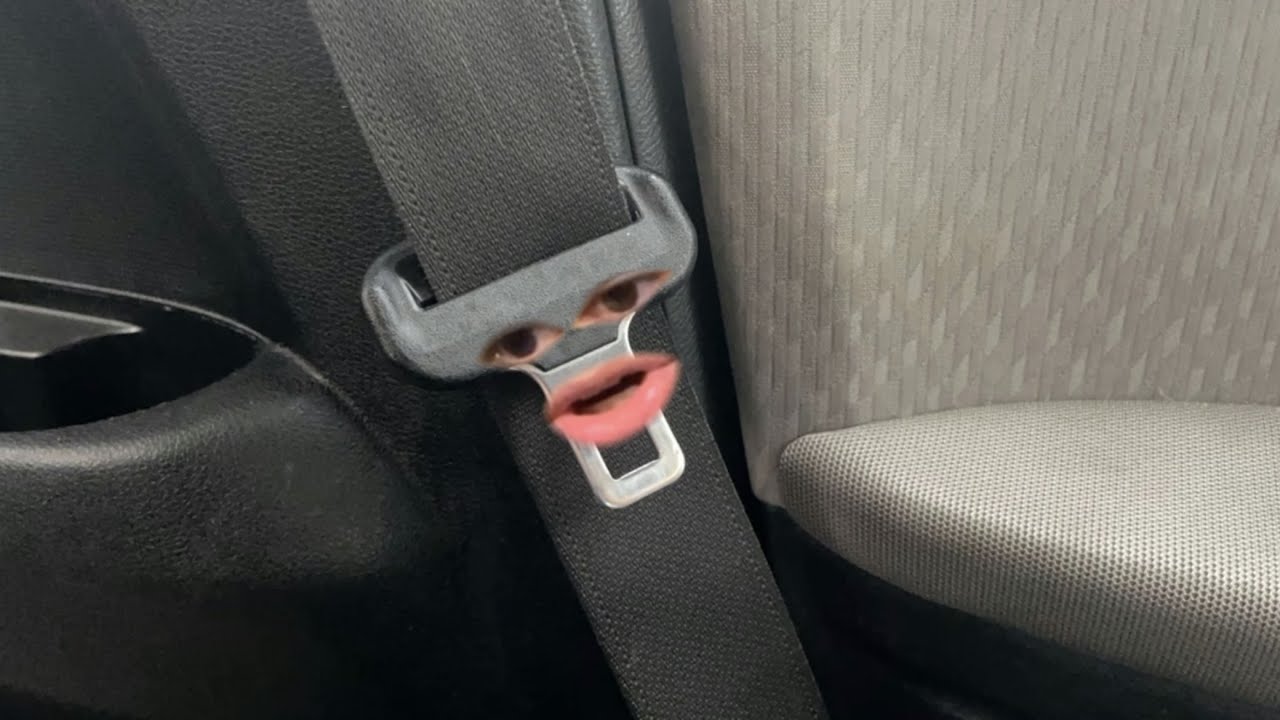 Life of A Seatbelt Life of A Seatbelt