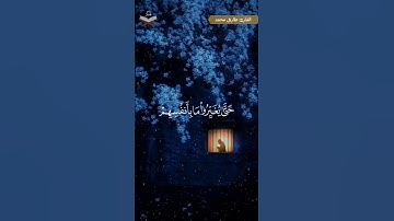 حالات واتس تلاوة خاشعة من سورة الرعد للقارئ طارق محمد #قرآن